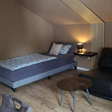 Grosses 2,5-zimmer-apartment Mit 5 Betten * Wildeck