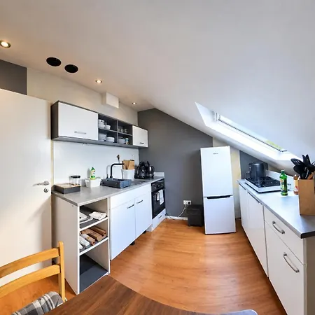Großes 2,5-zimmer-apartment Mit 5 Betten Apartment